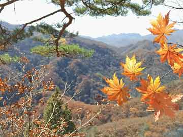 阿勒泰地区市发展和改革委员会领导团队最新概述